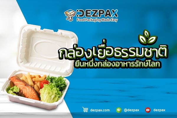 Dezpax.com กล่องเยื่อธรรมชาติ ยืนหนึ่งกล่องอาหารรักษ์โลก💚🥦♻